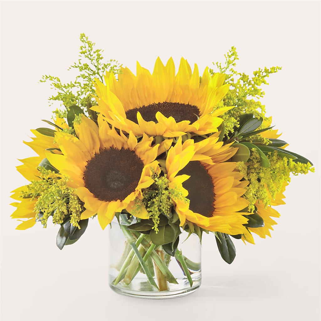 Beaming Sunflower Bouquet – Cafe Flora, Albuquerque NM