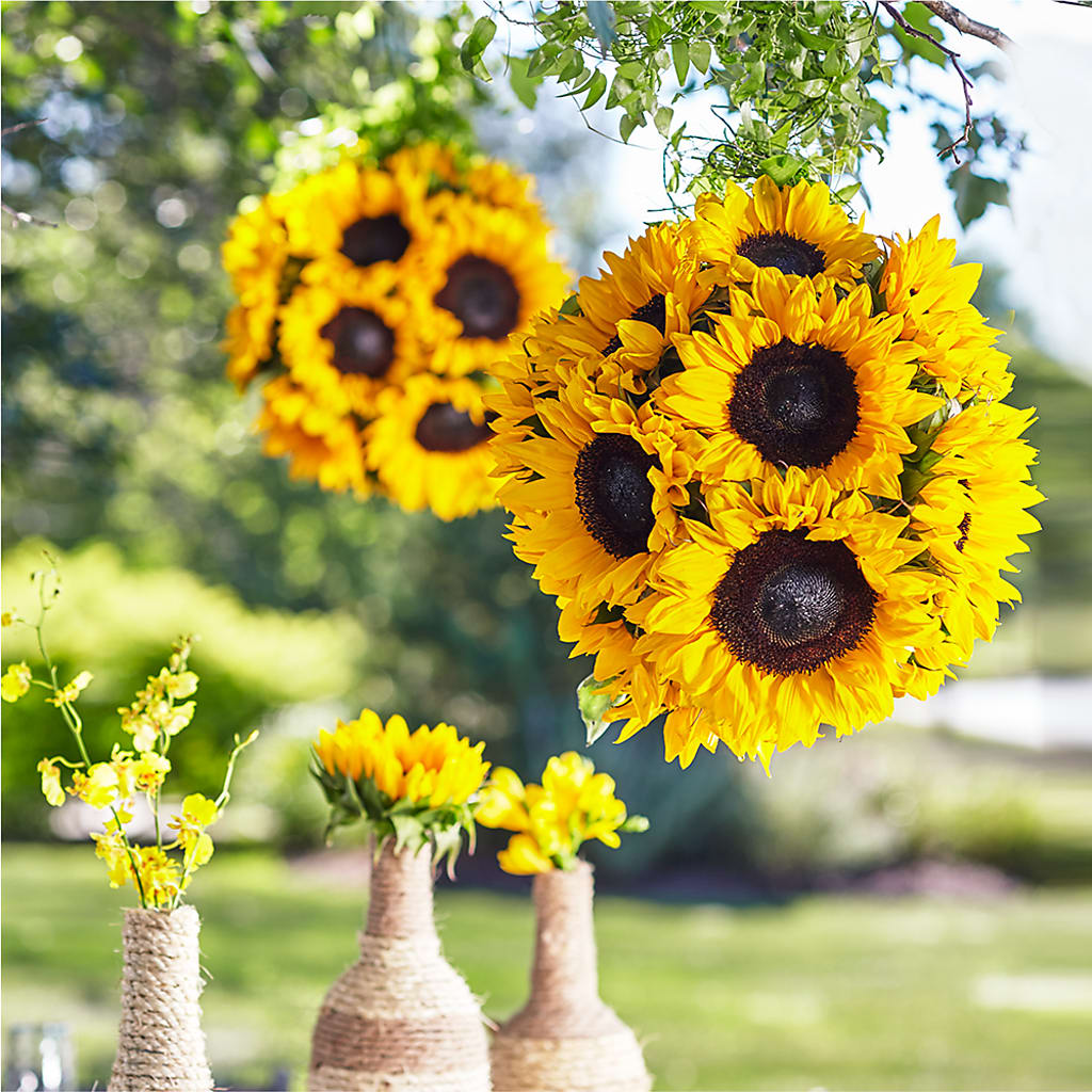 Sublime Garden Hanging Arrangement – Cafe Flora, Albuquerque NM