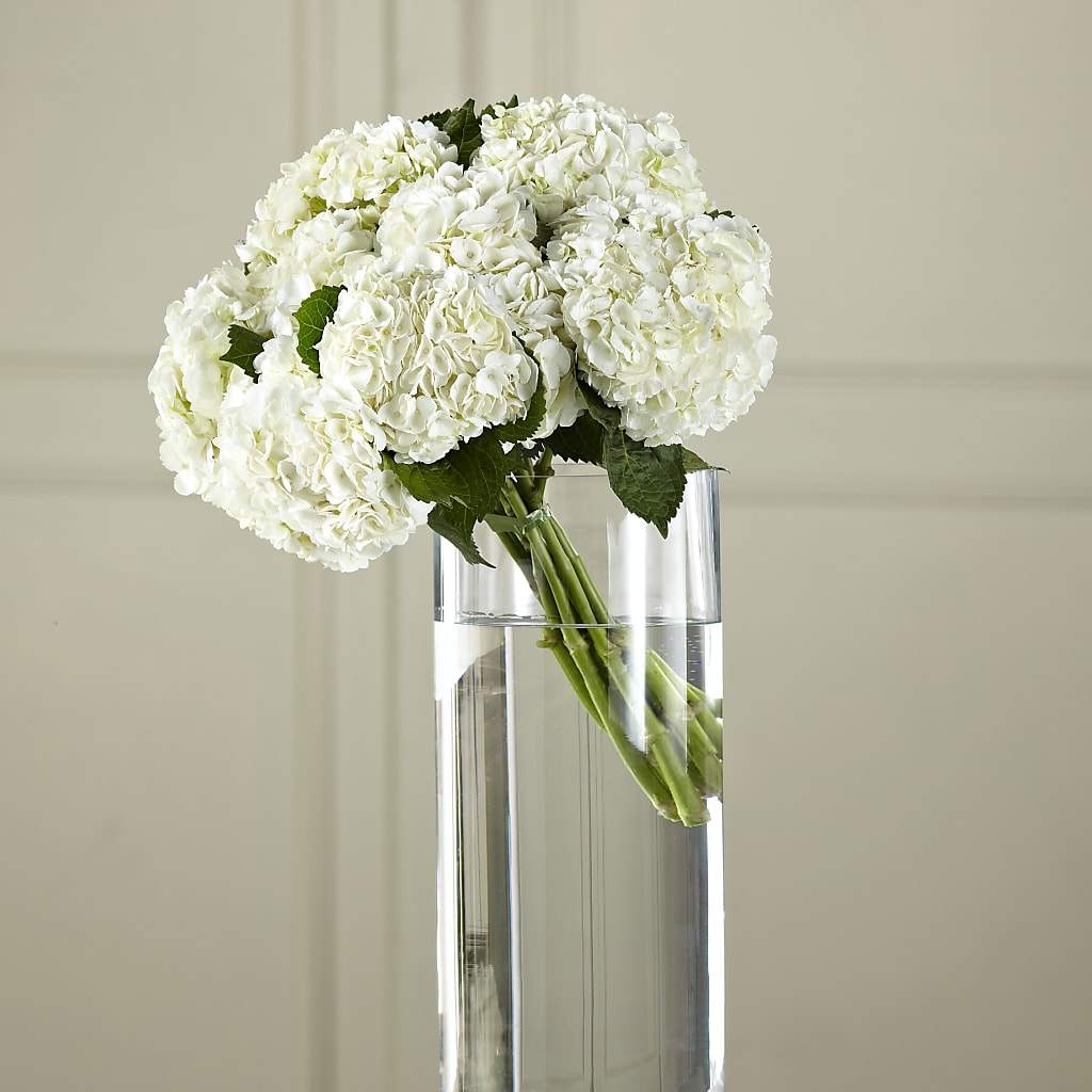 White Hydrangea Hand-Tied Bouquet – Cafe Flora, Albuquerque NM