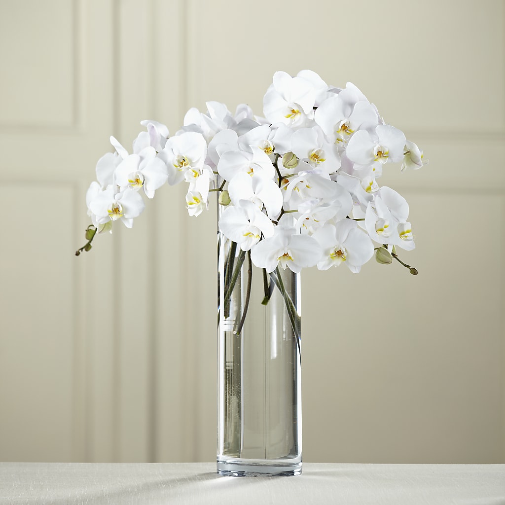 White Phalaenopsis Bouquet – Cafe Flora, Albuquerque NM