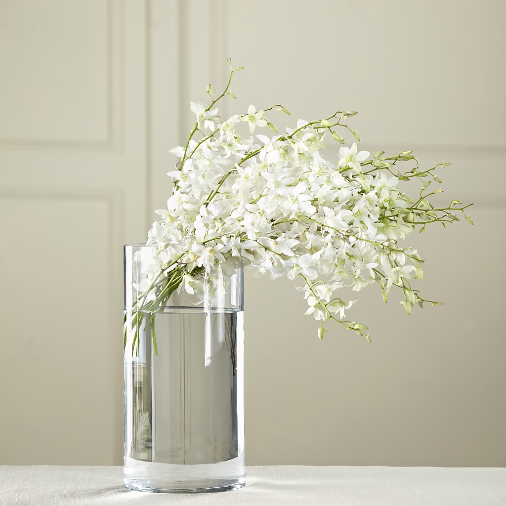 White Dendrobium Bouquet – Cafe Flora, Albuquerque NM