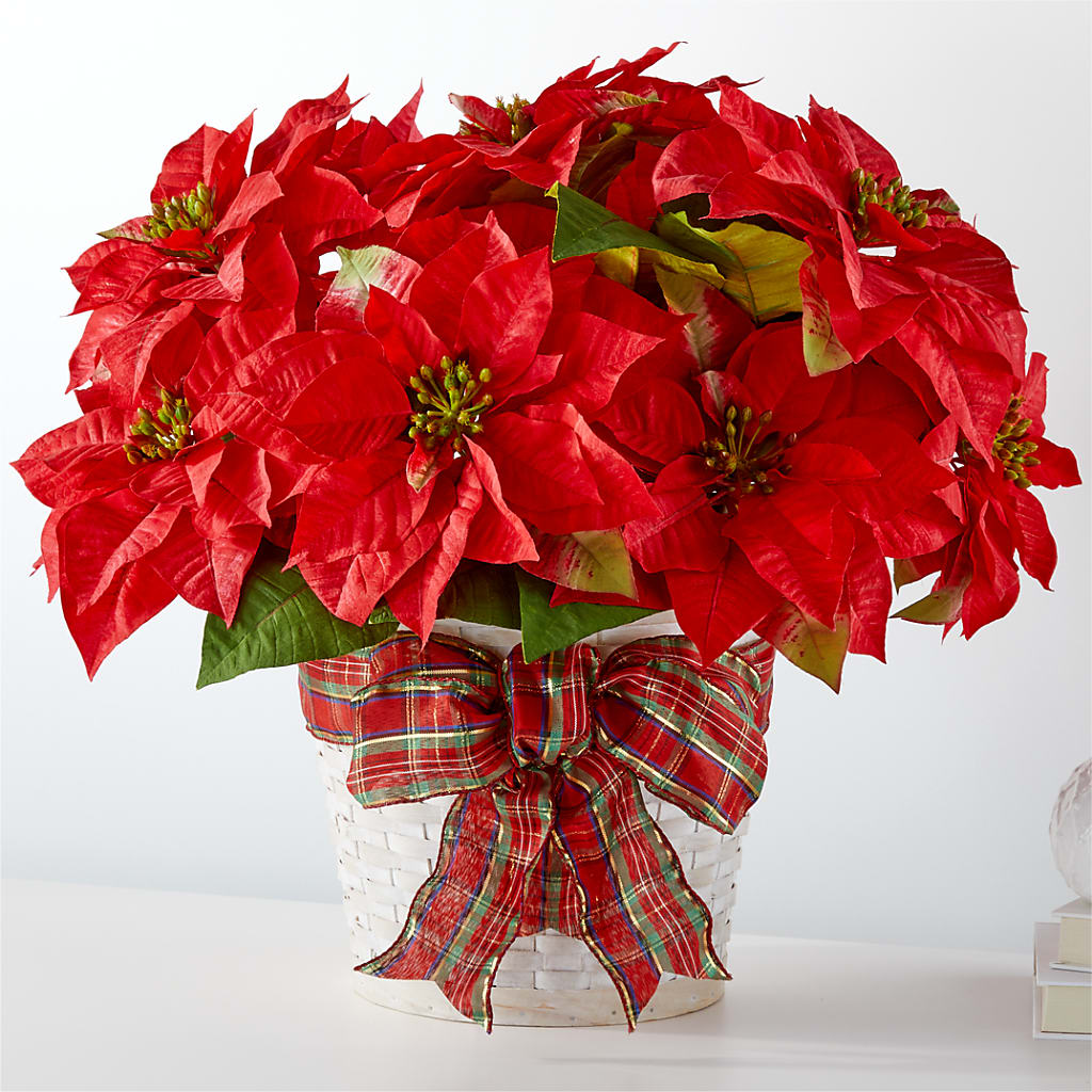 Happiest Holidays Poinsettia –  Cafe Flora, Albuquerque NM