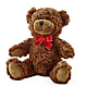 Adorable Plush Bear –  Cafe Flora, Albuquerque NM