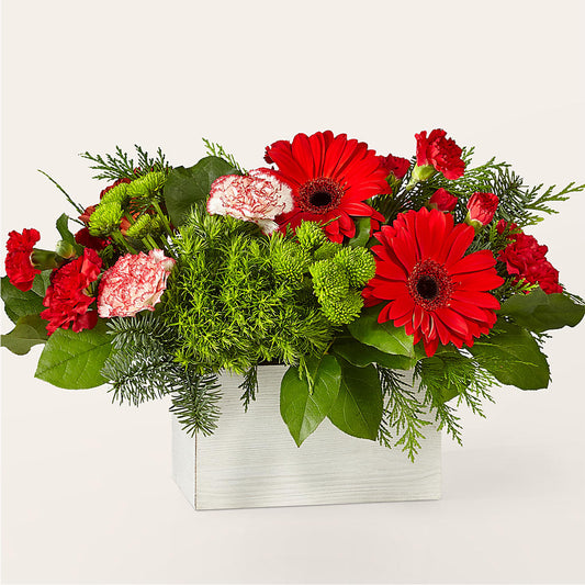 Le bouquet de Rudolph