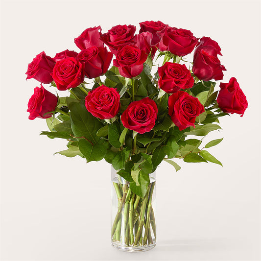 The One Red Rose Bouquet – CAFE FLORA, Albuquerque NM