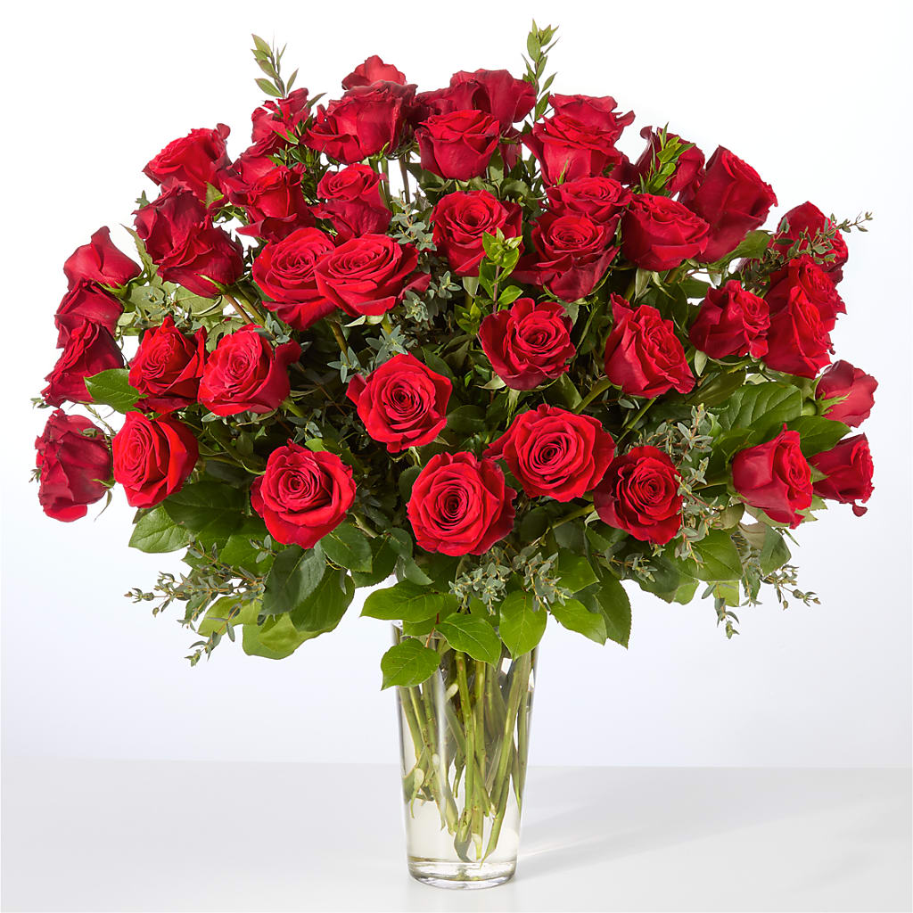 Forever Yours Fifty Stem Red Rose Bouquet –  Cafe Flora, Albuquerque NM